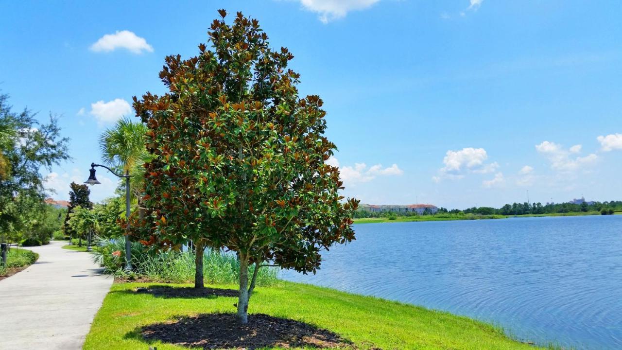 5025 Shoreway Loop #203 Orlando Esterno foto